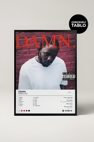 House Gorgeous Kendrick Lamar Damn Albümü Çerçeve Albüm Tasarımlı Spotify Poster