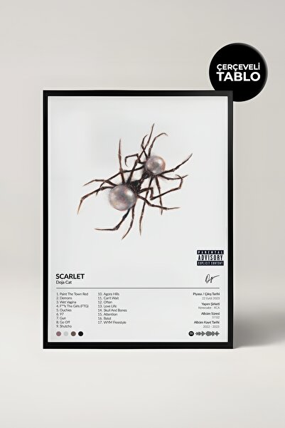 House Gorgeous Doja Cat Scarlet Album Design Spotify Poster Painting