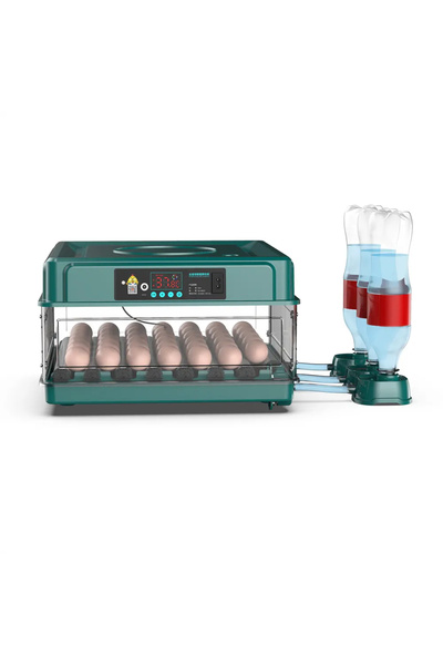 Evonest 70 Yumurtalık Tavuk Kuluçka Makinesi | Hassas Sıcaklık Kontrolü