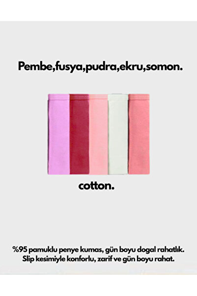 IPL Kadın Slip 5`li Bikini Soft Tonlar Külot