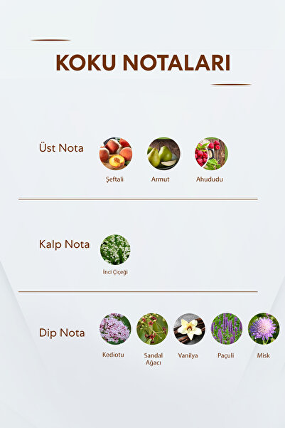 Bargello No.451 Unisex 50ml Edp Perfume