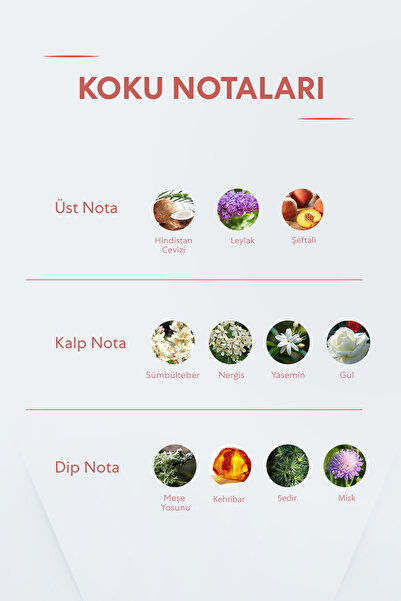 Bargello Melange Women's Perfume - 50 ml Edp