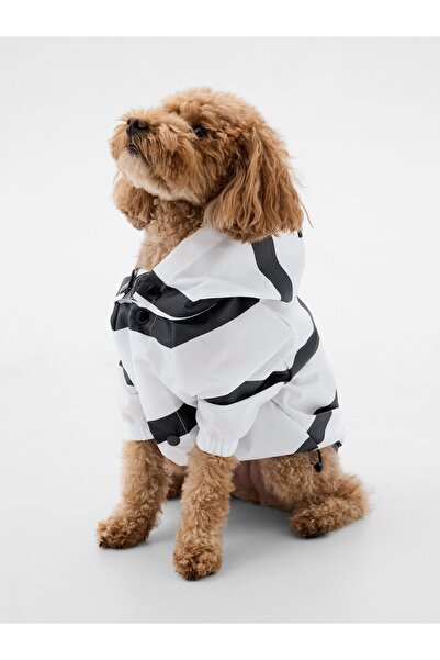 GAP Kadın Beyaz Desenli Köpek Yağmurluğu