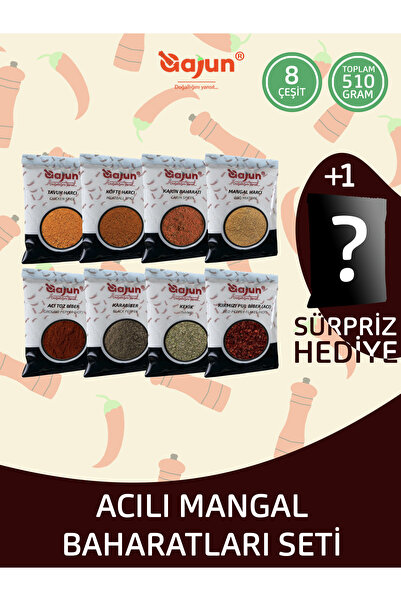 gajoon Mangal Baharatları Set (Acılı)