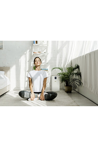 Karcher Af 30 Hava Temizleme Makinesi