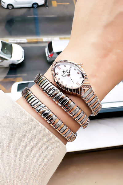 Daniel Klein Snake Watch Model - Women's Wrist Watch, Waterproof Rose Silver Steel Band - Bracelet Gift Gdkb2012C6