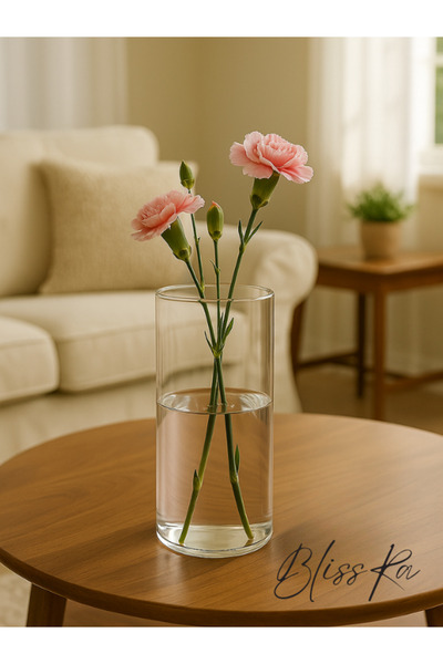 Blissra Tekli Borosilikat Mumluk, Vazo - Boy 18 Cm Çap 8 cm (Mum Dahil Değildir)