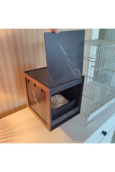 Demo Tasarım Budgie Nest Bird Nest