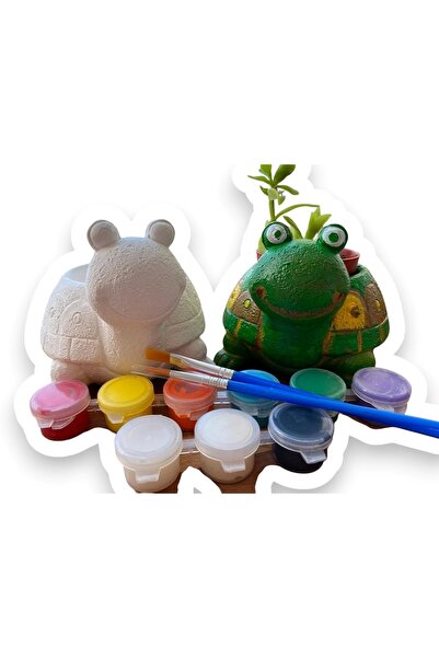 tasarımhikayecisi 1 Adet Kaplumbağa Sukulent Saksı Boyama Seti-hobi-aktivite-...
