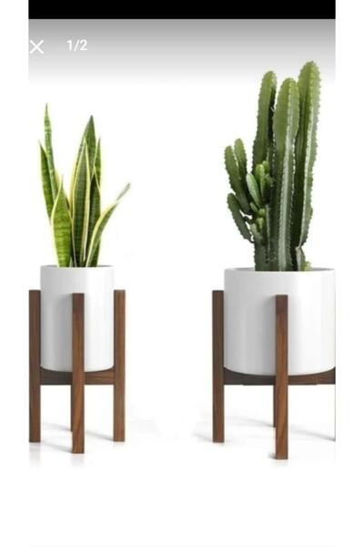MarangozDede 30 Cm 2 Li Saksılık Çiçeklik Düzenleyici