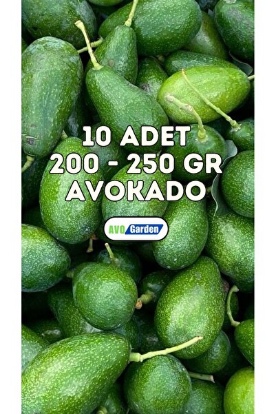 AvoGarden Taze Avokado 10'lu Paket 200 - 250 Gr. Arası
