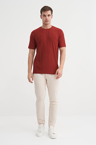 Cazador Regular Fit Crew Neck Thin Stripe T-Shirt