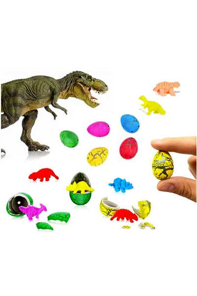 Limmy بيضة ديناصور صغيرة تنمو في الماء - 6 قطع