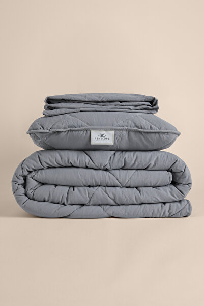 Penelope Gray Microfiber Single Pillow Quilt Set - Colors in Comfort