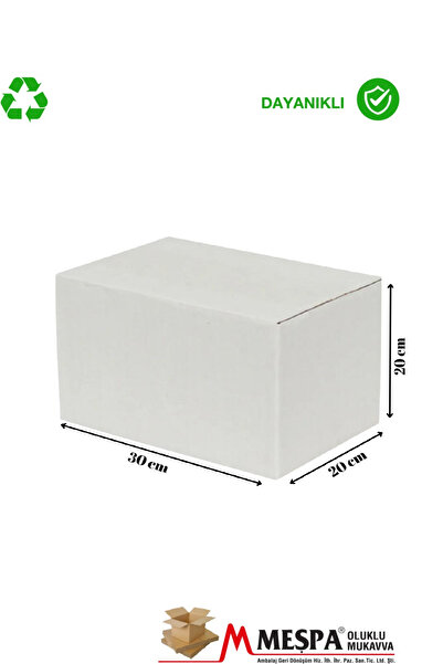 Markasız ucuz 30 x 20 x 20 ölçülerinde BC Dalga 10 lu taşıma ve saklama kolisi