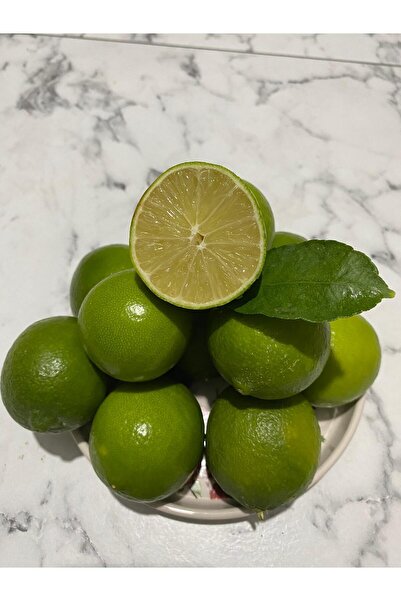 ANAMURMEYVECİM 1 Kg Limon Dalından Taze