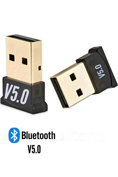 Datastar Dongle + Wireless USB 5,0 Adaptör