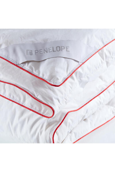 Penelope 100% Goose down Filled Double Pillow - Comforter Set - Alegra Series