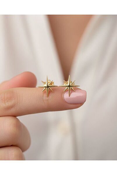 İNDİGO TAKI Sade Minik Kutup Yıldızı 14 Ayar Altın Küpe