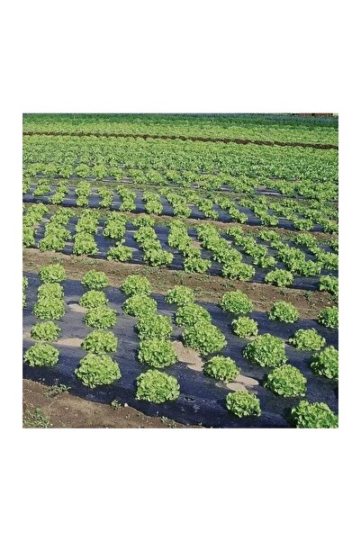 EUR Folie Mulcire neagra neperforata,15 Microni, 0.8x3000ml