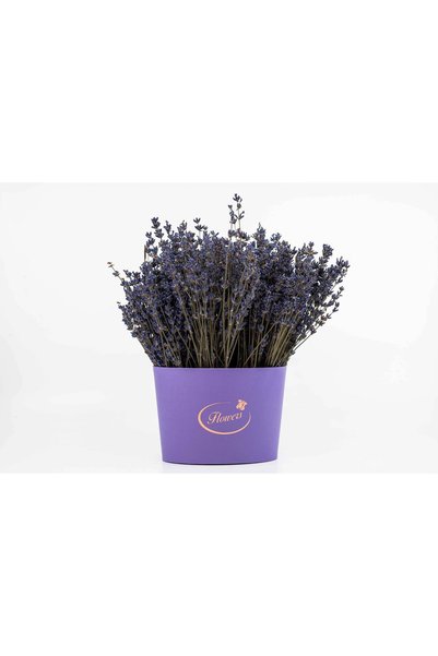 Lavanda Sudului Drăgălașă cu flori de lavandă