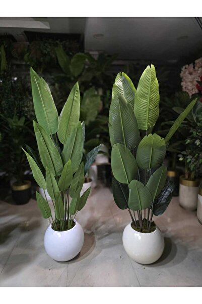 İremÇiçekçilik Karbonfiber Küre saksıda Starliçe - 24 yapraklı 210 cm