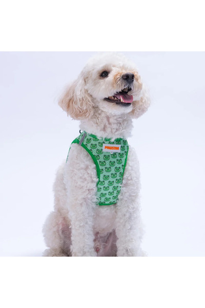 puppy تصميم صدر الكلب