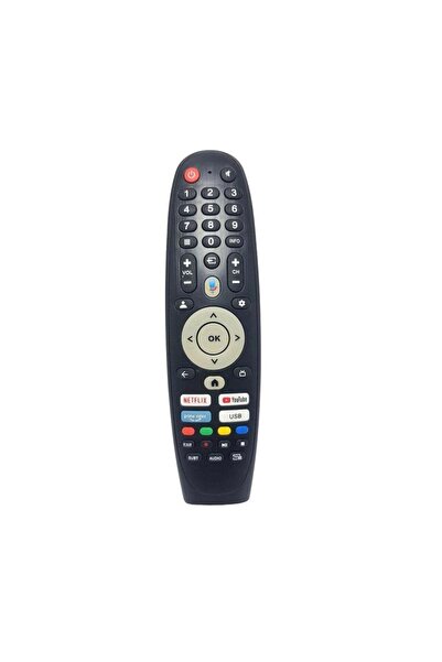 Skytech Model No 55ST1305 İle Uyumlu Googlee Tv Kumandası-Mikrofonsuz