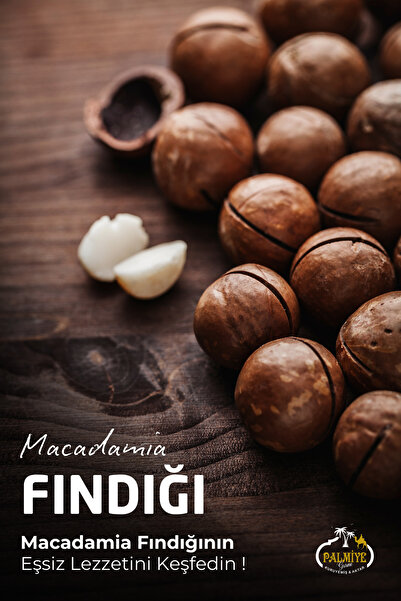 Palmiye Gurme Makademya Fındığı Kabuklu (500gr)