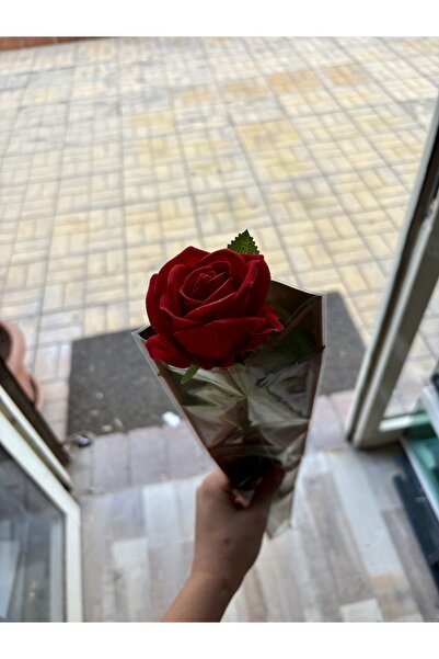 hayaal dünyam Tekli kadife kırmızı gül