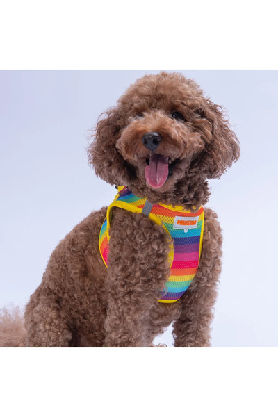 puppy طوق صدر ملون للكلاب