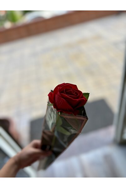 hayaal dünyam Tekli kadife kırmızı gül