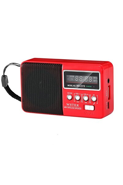 Mobile Tuning Wireless Speaker with FM Radio and LED Display, Portable, Bluetooth, USB, Micro SD, Red