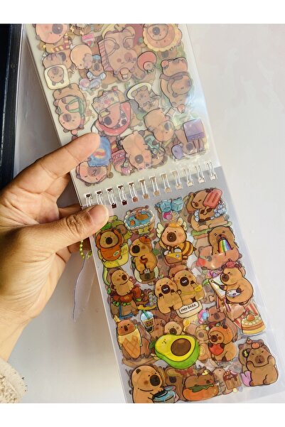 synshop Capybara Sticker Decal 24 Sheets 300Pcs Waterproof+Opaque 10 Sheets Ruler Keychain Notepad
