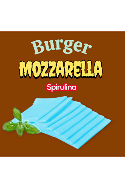BİKÖY ORGANİK DİLİMLİ BURGER MOZZARELLA 80 Gr