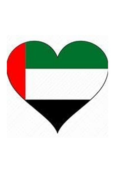 Emaazz LLC إطار أكريليك ثلاثي الأبعاد لعلم الإمارات العربية المتحدة - لوحة جد...