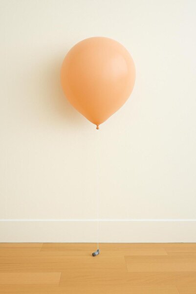 Balonsan Skin Color Balloons 25 Pieces
