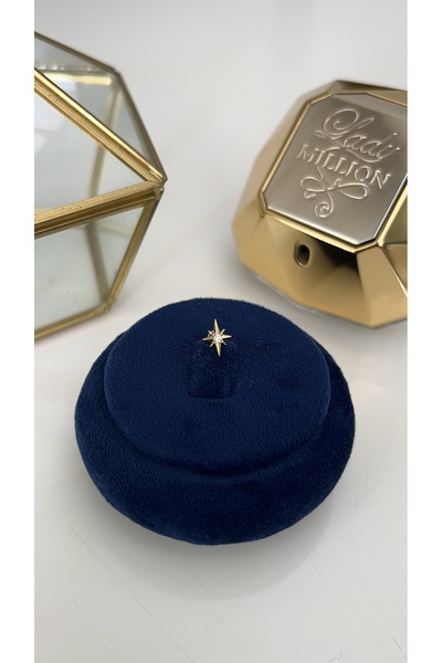 SU PERİSİ TAKI BİJUTERİ Cerrahi Çelik Gold Zirkon Taşlı Kuzey Yıldızı Model P...