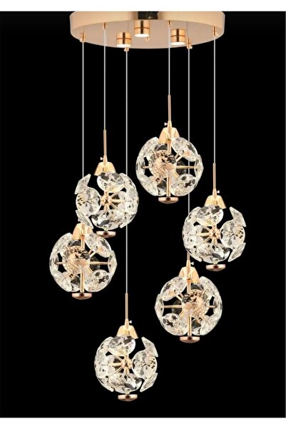 ToptanAvize Karahindiba 6'lı