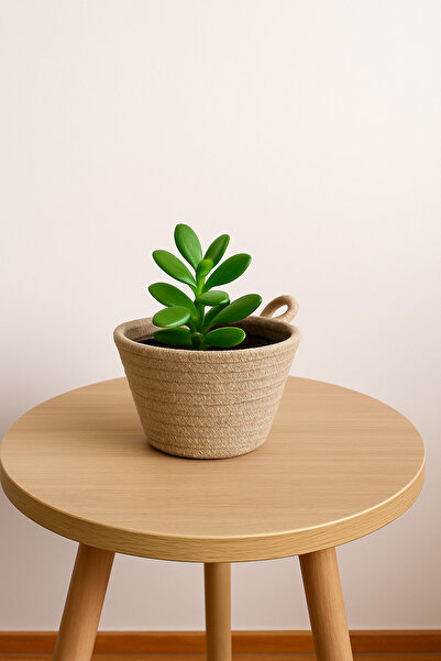 ÖRGÜM Sepet Mini Organizer Mini Saksı Kılıfı Çok Amaçlı Düzenleyici 12x10 cm ...