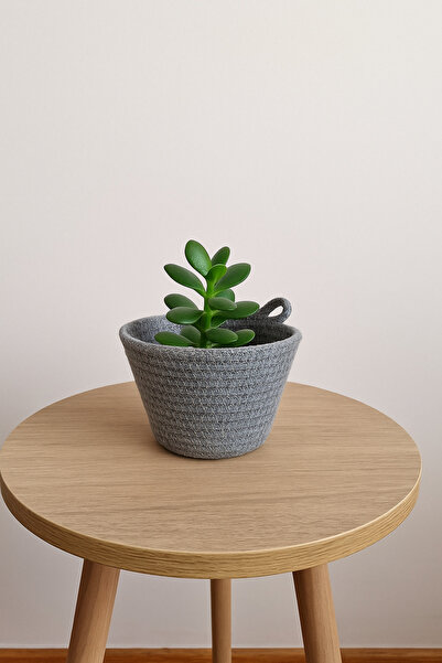 ÖRGÜM Sepet Mini Organizer Mini Saksı Kılıfı Çok Amaçlı Düzenleyici 12x10 cm ...