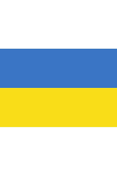 Vision XXI Ukraine Flag, 150x90cm, Polyester,