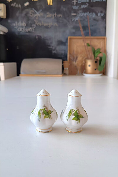 Royal Albert Trillium Bone China Vintage Salt and Pepper Shakers 2 Pieces