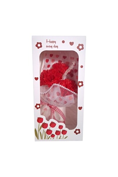 Vision XXI Buchet de flori roșii model Garoafă în cutie cu mâner cu șnur, Vision XXI, Colecția Happy Every