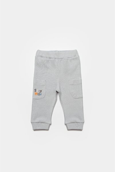 BabyCosy Organic Wear Lion blouse and pants set, gray, BabyCosy, 100% cotton