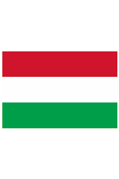 Vision XXI Hungary flag, 150x90cm, polyester,