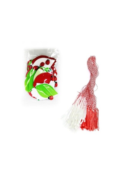 Vision Set creativ pentru asamblarea mărțișoarelor, frunze din carton, 10 buburuze adezive, 10 sfori