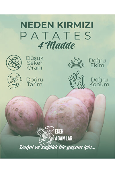 EKEN ADAMLAR Doğal Kırmızı Patates 2 Kg Kızartmalık