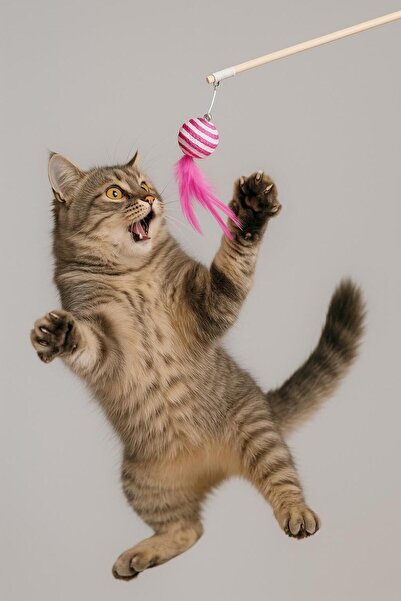 PATICOOL صنارة صيد على شكل قطة مع ريش وصوت |   لعبة قطط ممتعة بتصميم حلزوني