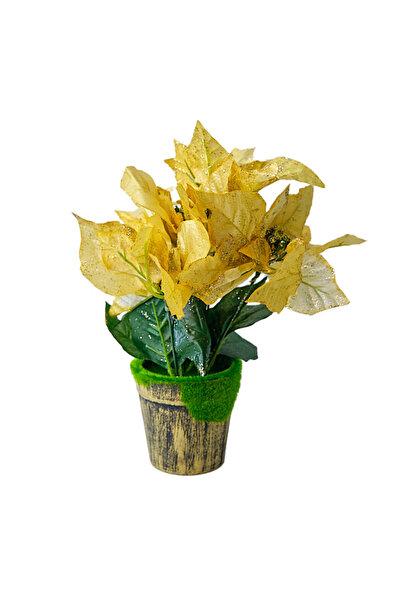 velve Aranjament floral cu Craciunita Artizanala in ghiveci, Auriu 29cm